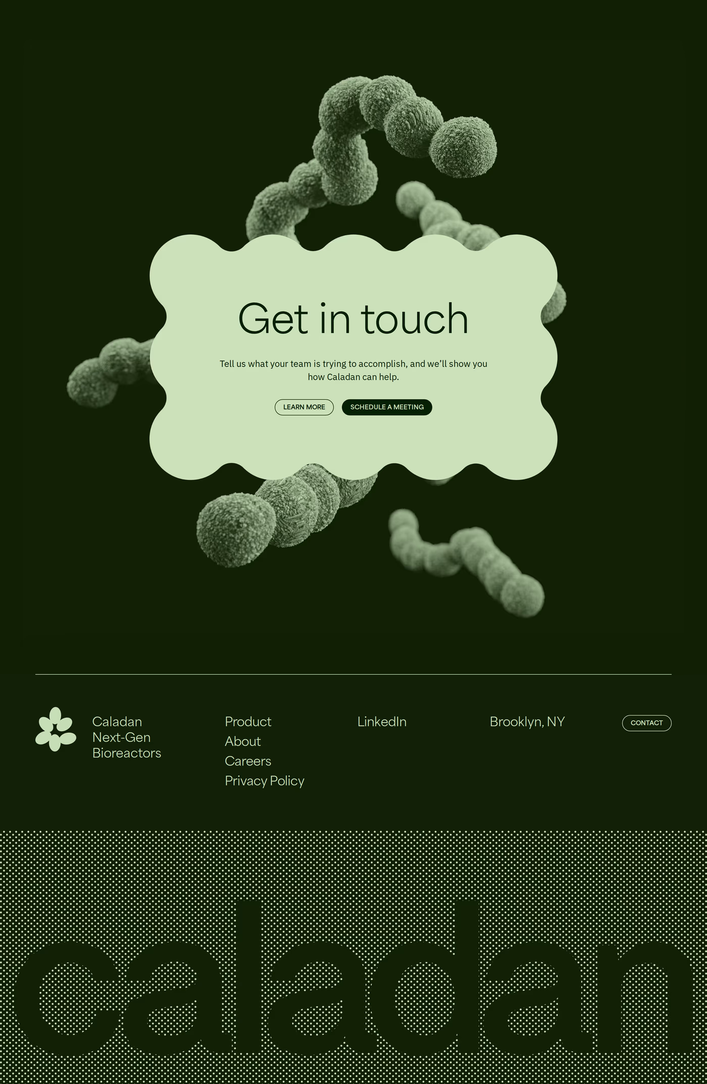 Caladan Footer section