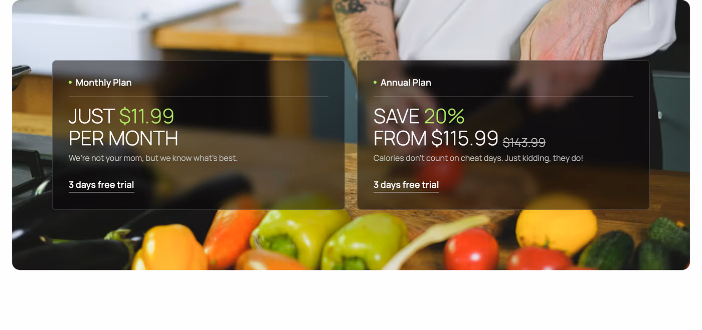 Coidar — screenshot of the pricing section