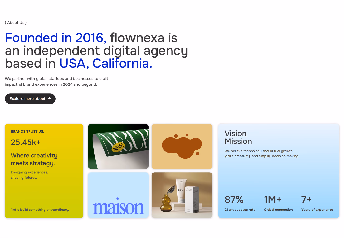 Flownexa — screenshot of the about section