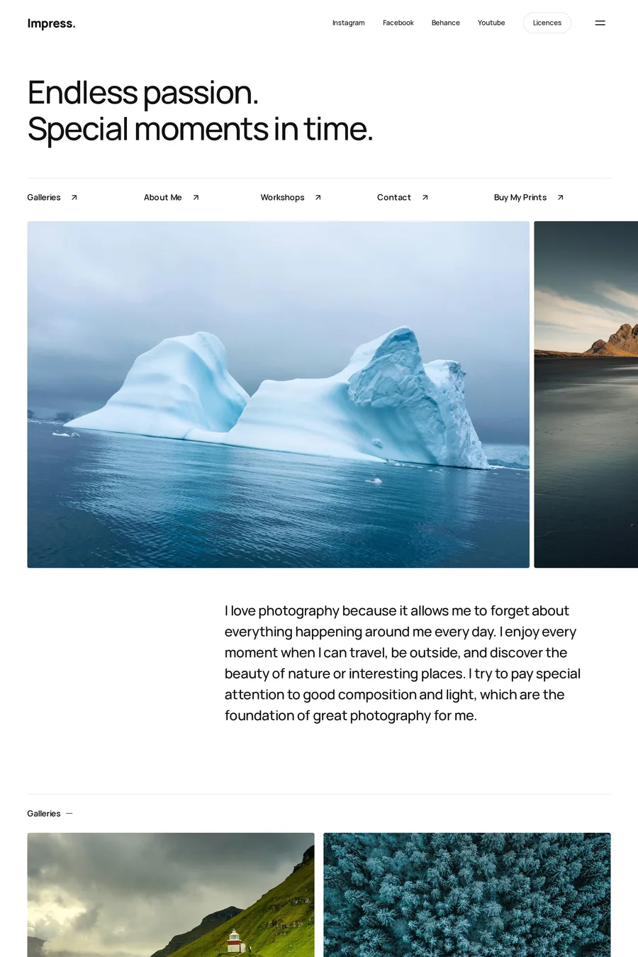 Impress website template screenshot